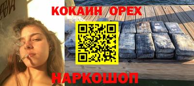 соль ск Бийск