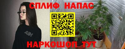 MDMA Гатчина