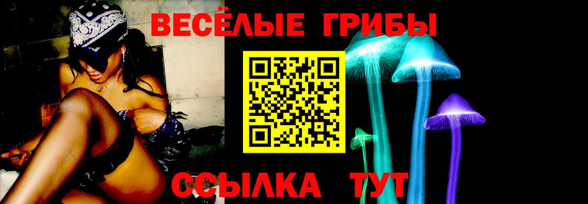 Ирбит  Галлюциногенные грибы прущие грибы  Псилоцибиновые грибы Magic Shrooms  Вход с VPN 